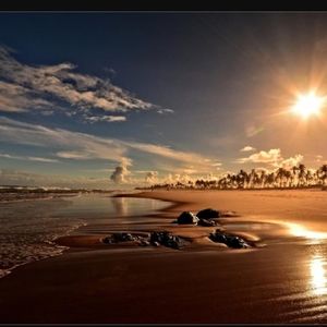 Meet your Posher, Marisol